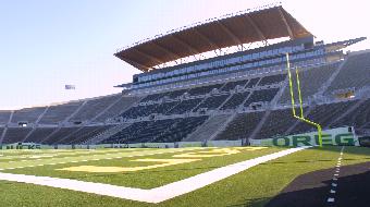 View From Field
