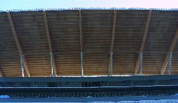 View From Under